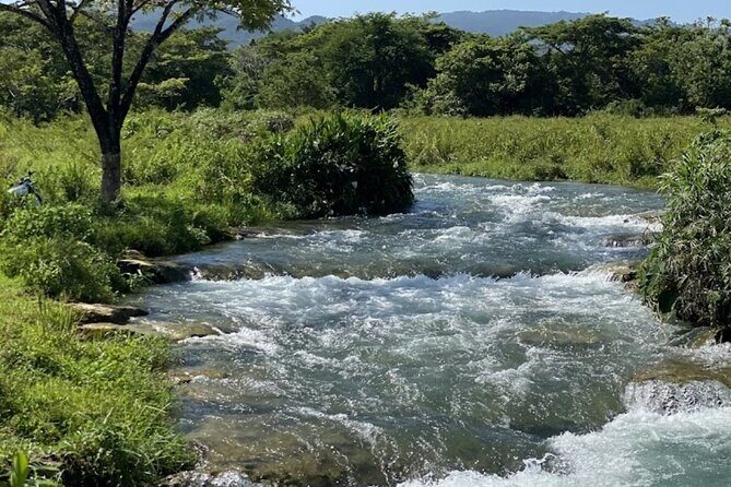 Rastasafari Experience ATV Adventure and Local Day Out - From Montego Bay Pickup to Roaring River ATV Time