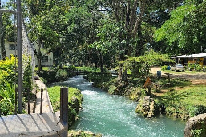 Rastasafari Experience ATV Adventure and Local Day Out - ATV Across Jamaica: Expect Fun, Movement, and Dirt