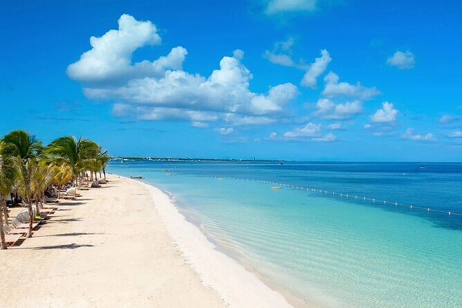 Rick s Café and Seven Mile Beach Private Tour Negril Jamaica - Should you book this private Seven Mile Beach and Rick’s Café tour?