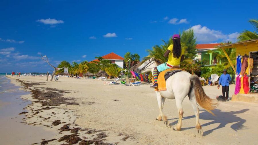 Ricks cafe & 7mile Beach Day Tour From Montego Bay. - Seven Mile Beach: why Negril’s shoreline is the main event