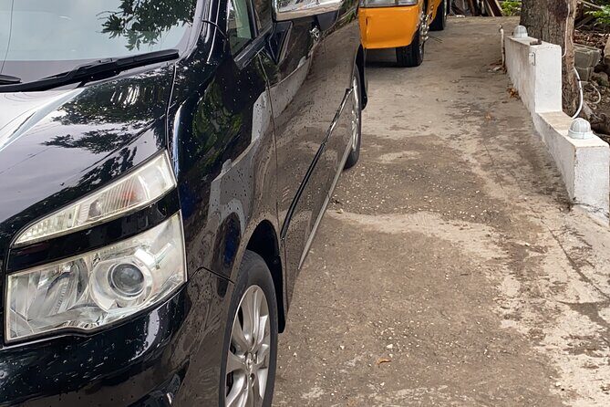 Riu Negril / Riu Palace Tropical Bay Private Airport Transfer - Who This Private Transfer Fits Best