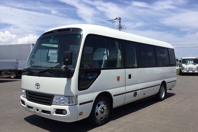 Riu Negril / Riu Palace Tropical Bay Private Airport Transfer - Should You Book This Transfer to Riu Negril?