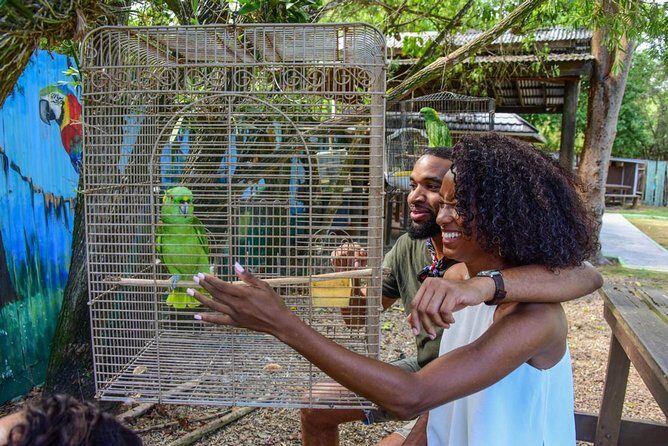 Rockland Bird Sanctuary plus Montego Bay Highlights & Shopping Private Tour - Key Highlights You’ll Actually Care About