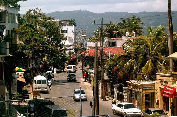 Rockland Bird Sanctuary plus Montego Bay Highlights & Shopping Private Tour - Price and Value: What $123 Covers (and What It Doesn’t)
