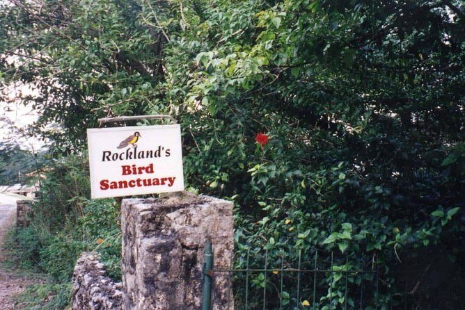 Rockland Bird Sanctuary Private Tour - Rocklands Bird Sanctuary: Where birds actually come to you