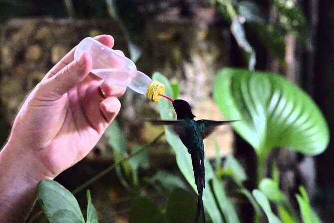 Rockland Bird Sanctuary Private Tour - Timing, What to Bring, and How Weather Changes the Day