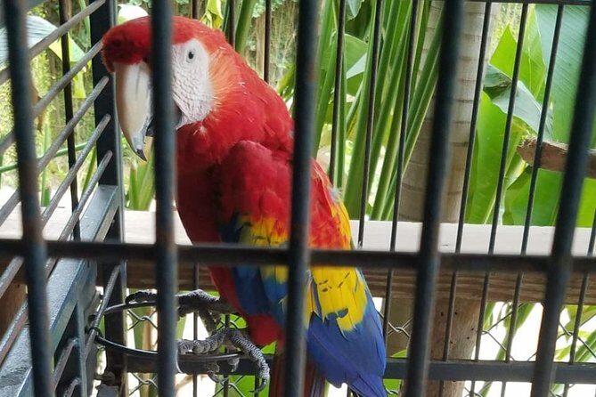 Rockland Bird Sanctuary Private Tour - Price and Value at $97.44: What You’re Really Paying For