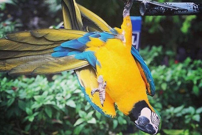 Rockland Bird Sanctuary Tour [Transportation] Hotel Pick-Up - Key highlights before you go