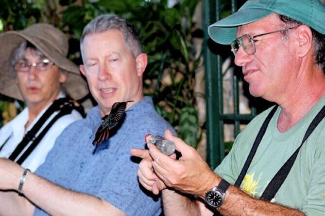 Rocklands Bird Sanctuary and Montego Bay Highlights Tour from Falmouth - Key Points Worth Noting