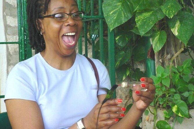 Rocklands Bird Sanctuary and Montego Bay Highlights Tour from Falmouth - Montego Bay highlights after the sanctuary: squares, church, and colonial-era views