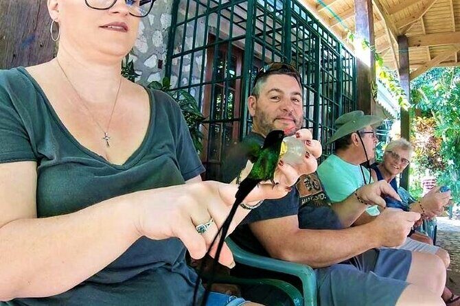 Rocklands Bird Sanctuary and Montego Bay Highlights Tour from Falmouth - Logistics from Falmouth: timing, group size, and what to expect
