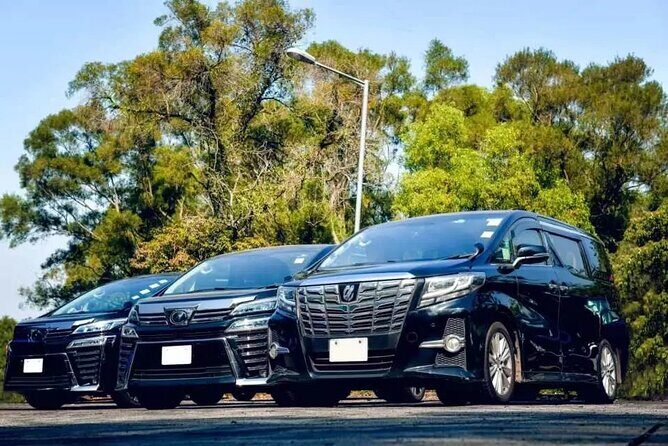 Royalton Hotel & RIU Aquarelle-Private Roundtrip Airport Transfer - Key Points at a Glance