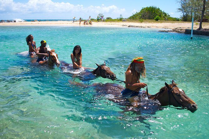 Sand n Saddle Horseback Ride & Swim Tour from Falmouth - Price and Value: Is $220 Worth It?