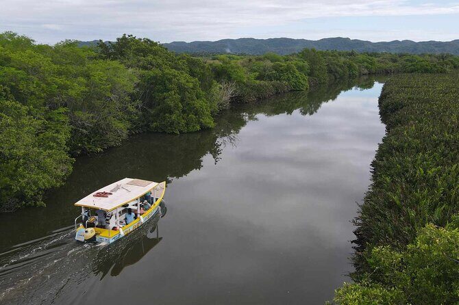 Scenic & Historical Nature Boat Safari Up the Negril River - Key Highlights