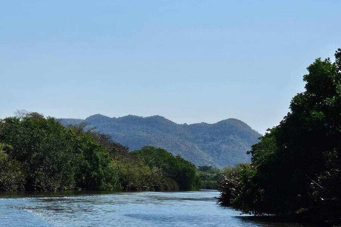 Scenic & Historical Nature Boat Safari Up the Negril River - Negril’s Great Morass: A Wetland Safari With Real Context