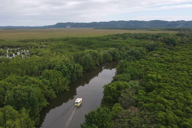 Scenic & Historical Nature Boat Safari Up the Negril River - The History Layer: How Guides Make the River Mean Something
