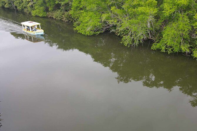 Scenic & Historical Nature Boat Safari Up the Negril River - Reef Snorkelling? Confirm Before You Go
