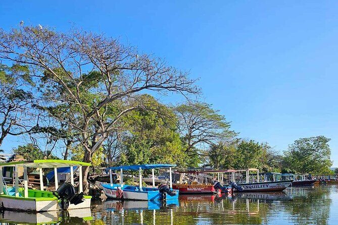 Scenic & Historical Nature Boat Safari Up the Negril River - Price and Value: Is $65 Worth It?