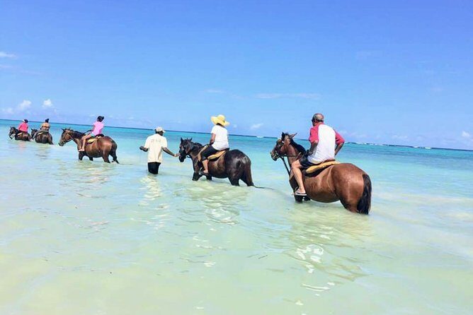 Secret Falls, Blue Hole, and Horseback Riding from Ocho Rios - Key Highlights You’ll Feel in Real Life