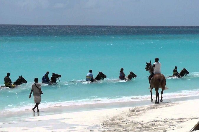 Secret Falls, Blue Hole, and Horseback Riding from Ocho Rios - Jerk Eatery and Shopping With Live Commentary: Useful, But Watch the Timing