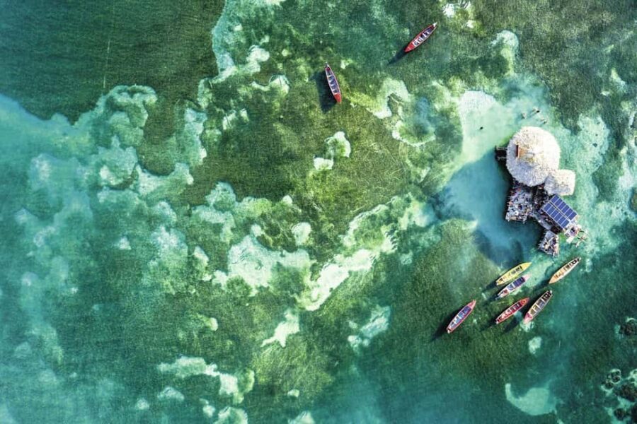 Shared or Private FD Appleton Rum, YS Falls & Pelican Bar - A Jamaica day that hits three icons: Appleton, YS Falls, Pelican Bar