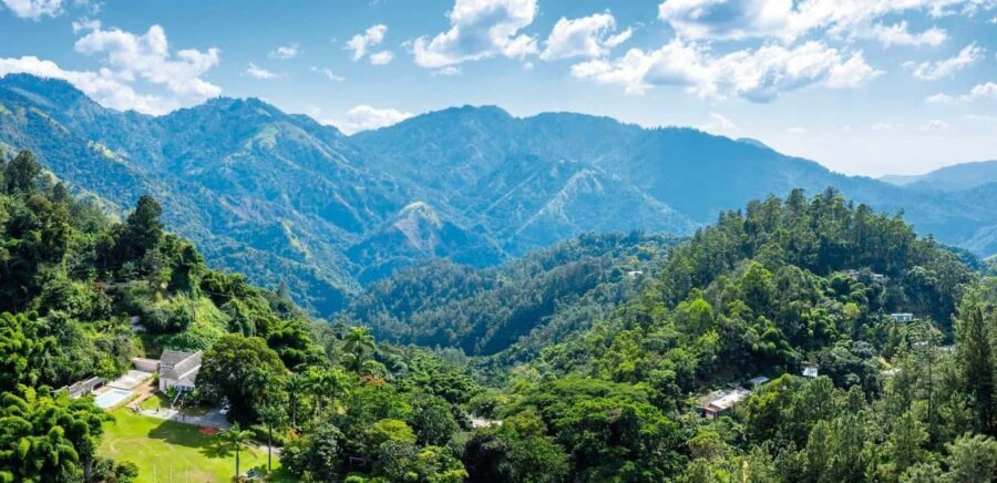 Shared/Private Full Day Blue Mountains Tour -Top Attractions - Kingston in one day: Emancipation Park and the Marley connection