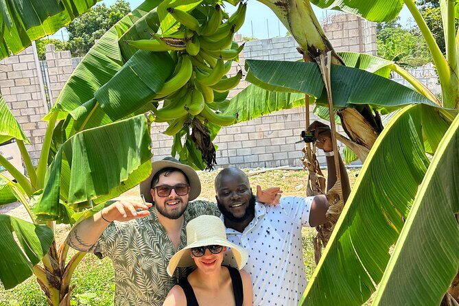 Sightseeing and Shopping Tour in Montego bay - Margaritaville After Dark: a fun shift from history and culture
