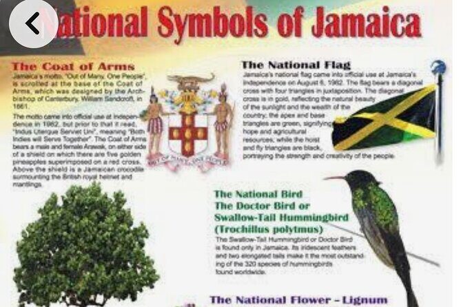 Sightseeing Tour in Ocho Rios - The Big Picture in Ocho Rios: One Guide, Several Top Stops