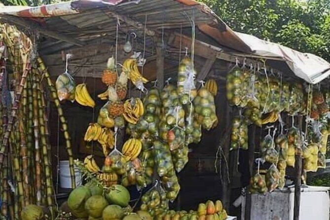 Sightseeing Tour in Ocho Rios - Pickup, Timing, and the Real-Life “Day Plan” Feel
