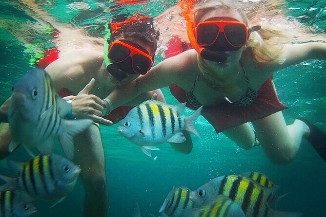Snorkeling and Shopping in Montego Bay with Hotel pickup - A 90-minute Montego Bay plan that mixes water time and the Hip Strip