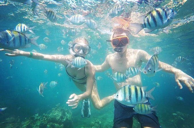 Snorkeling and Shopping in Montego Bay with Hotel pickup - What you’ll likely feel in the water (and how to set yourself up)