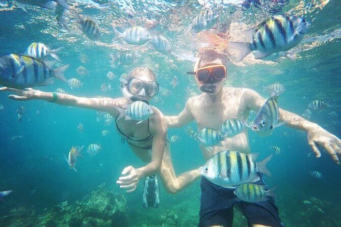 Snorkeling and Shopping in Montego Bay with Hotel pickup - Price and what’s included for $85 per person