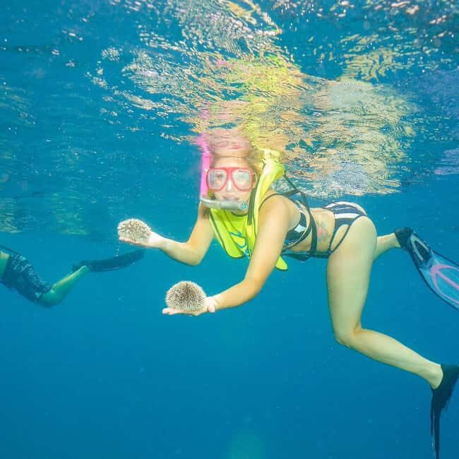 Snorkeling in Montego Bay with Transportation - The short ride: what you’ll actually feel during the transfers