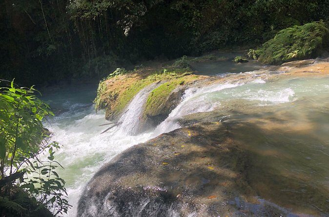 South Coast Jamaica YS Falls Tour - Your Driver Matters More Than You’d Think