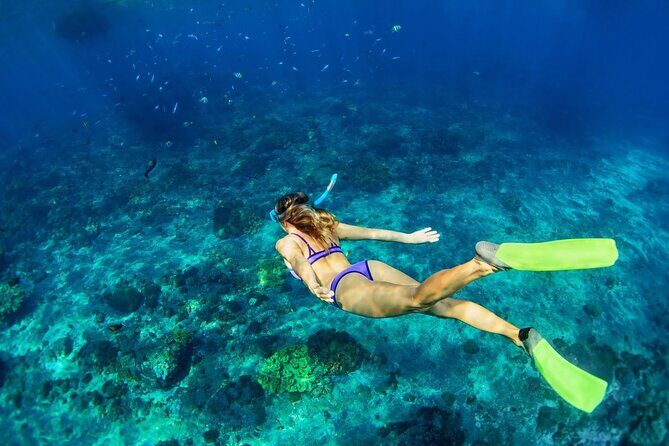 Sunset Catamaran cruise, Snorkeling and Rick's Cafe from Mobay - Guide tip: if Travis is on your day, you’re likely in good hands