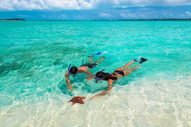 Sunset Catamaran cruise, Snorkeling and Rick's Cafe from Mobay - The catamaran cruise: open bar, reggae energy, and real snorkeling time