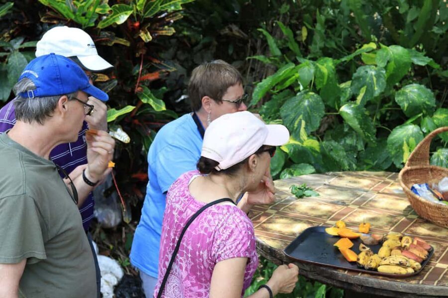 Taste of Jamaica Farm & Food Tour - Key Things to Know Before You Go