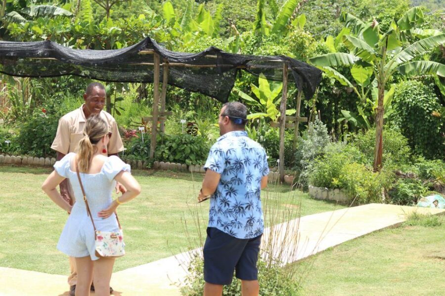 Taste of Jamaica Farm & Food Tour - Gift shop time: bringing home medicinal herbs without the guesswork