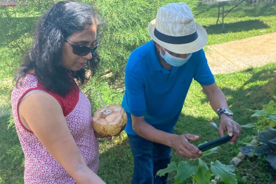 Taste of Jamaica Farm & Food Tour - Is this the right tour for you? (and who should pass)