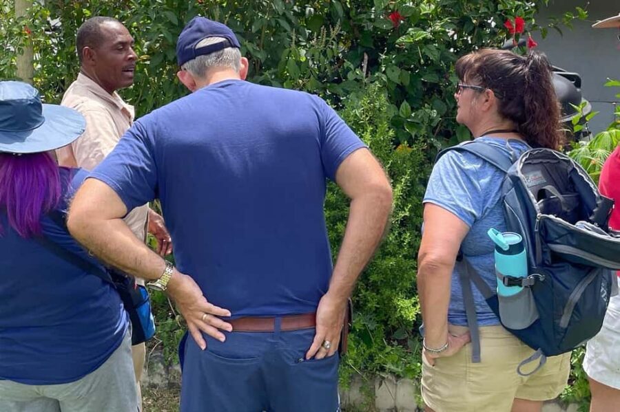 Taste of Jamaica Farm & Food Tour - Herbal Garden and medicinal herbs: the labels, the explanations, and the take-home value