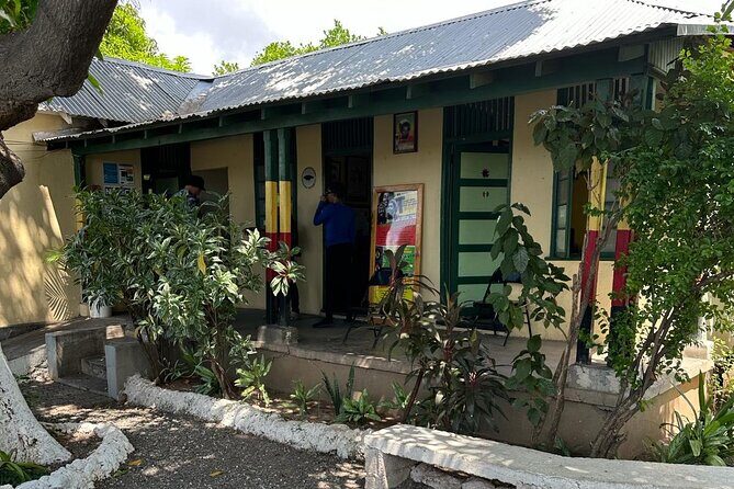 The Essential Bob Marley Tour: Visit His Home and more - The Countryside Drive: Rainforest Allure, Fern Gully, and Real Jamaica Time