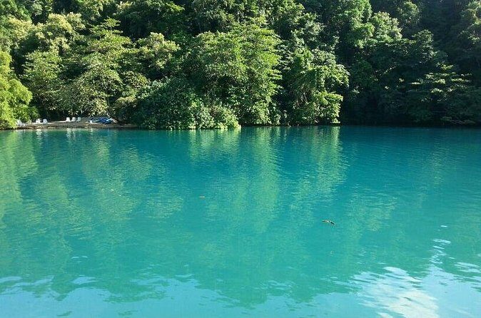 Tour to Fern Gully and Konoko Falls and Park - Konoko Falls & Park: water garden, small museum, and Mahoe Falls