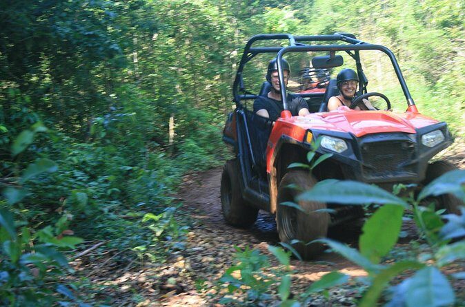 Wet n Dirty ATV Outback Adventure From Ocho Rios - The “outback” side: fruit tasting, coconut climbing, and medicinal plant stories