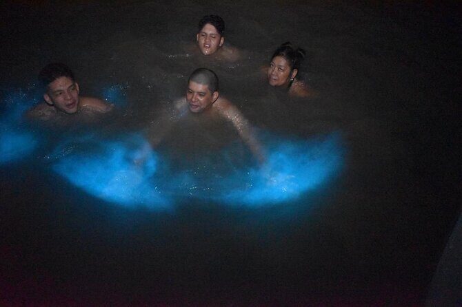 World famous Luminous lagoon Night tour with transportation - Pickup From Montego Bay: A/C, Wi-Fi, and a Driver Who Finds You