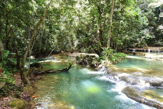 YS Falls and Appleton Estate Private Rum Tour - Who should book this Montego Bay rum and waterfalls day