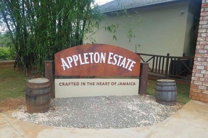 YS Falls and Appleton Estate Private Rum Tour - Private-group timing: how the 8–10 hours really plays out