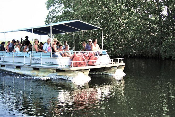 YS Falls and Black River Safari Guided Tour from Montego Bay and Grand Palladium - YS Falls: tractor jitney to seven tiers and the swim question