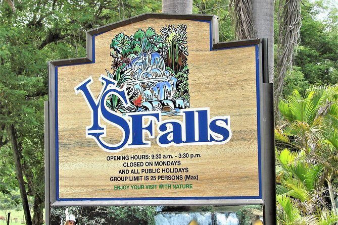 YS Falls and Black River Safari Guided Tour from Montego Bay and Grand Palladium - Black River pontoon safari: crocodiles, birds, and a very hands-on captain