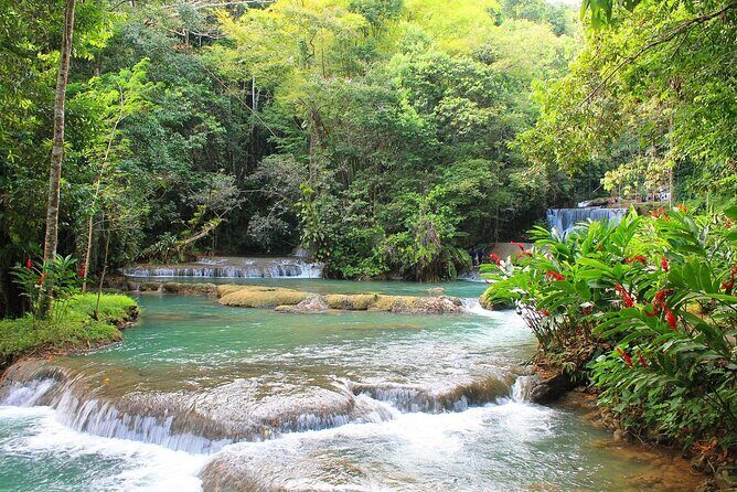 YS Falls and Black River Safari South Coast from Negril Jamaica - Key points worth knowing