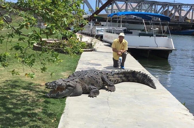 YS Falls and Black River Safari South Coast from Negril Jamaica - Price and Logistics: What $129 Really Buys (Plus Entrance Fees)